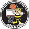 https://img.zbhjs.com/img/basketball/team/e416830f4083698237c559f8988ddb25.png