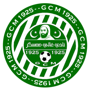 https://img.zbhjs.com/img/football/team/af4e5a161768f66ecc18897360e37753.png